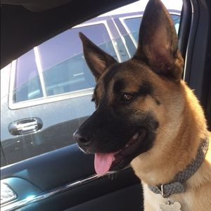 Meet your Posher, Andrea