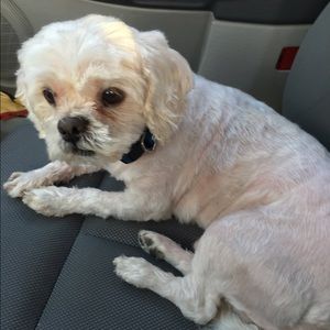 Meet your Posher, Sandra