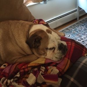 Meet your Posher, Heather