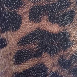 Meet your Posher, Britt