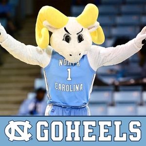 Meet your Posher, Meghann