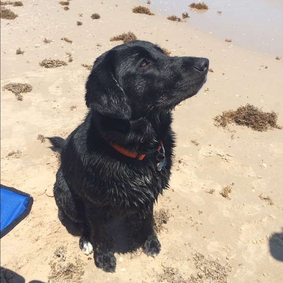 About me! - Picture 7 of 7