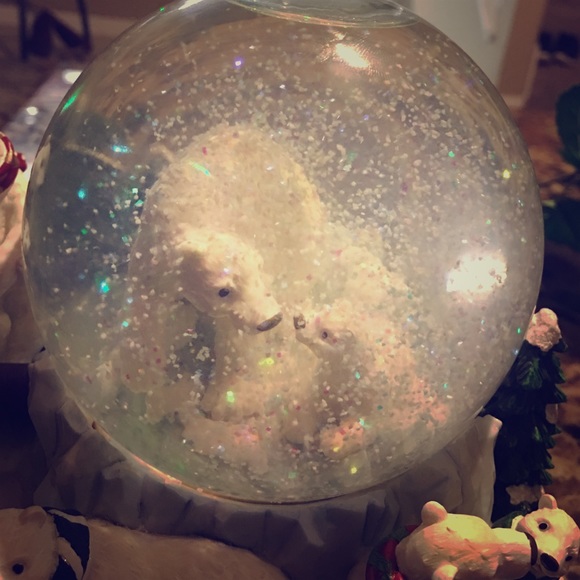 Meet your Posher, Dora - Picture 1 of 1