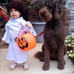 Meet your Posher, Janet