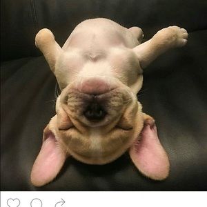 Meet your Posher, Torri