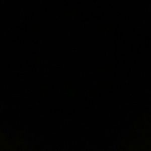 ISO IPHONE 5S (GOLD) T-MOBILE