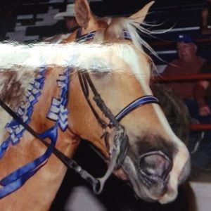 Meet your Posher, Sharon