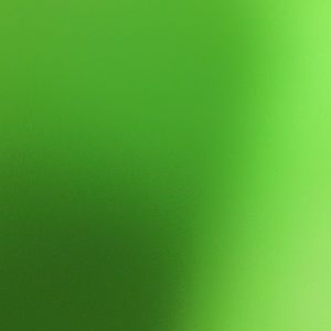 Meet your Posher, Jada