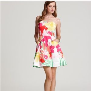 Lily Pulitzer Blossom Dress size 6