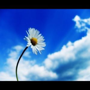 Meet your Posher, Beverly