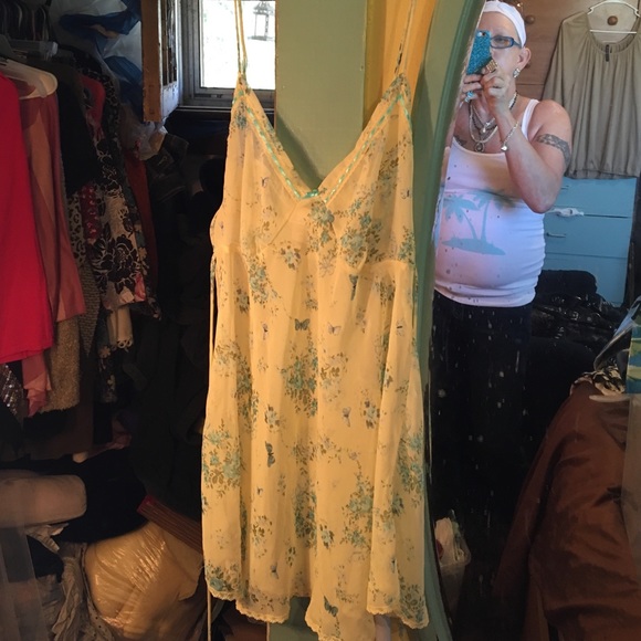 Springtime is here butterflies and flowers