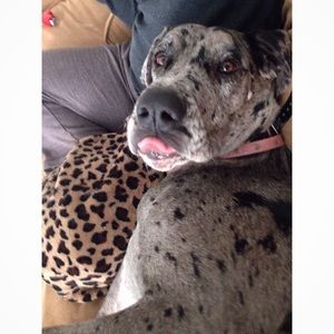 Meet your Posher, Zoe