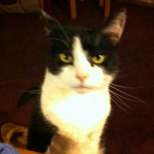 Meet your Posher, Judy