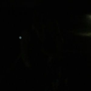 Meet your Posher, Brett