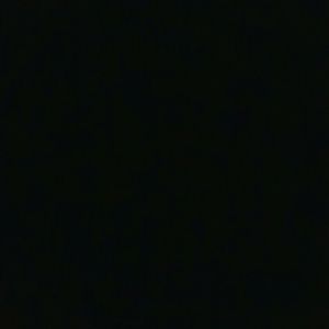 Meet your Posher, Selena