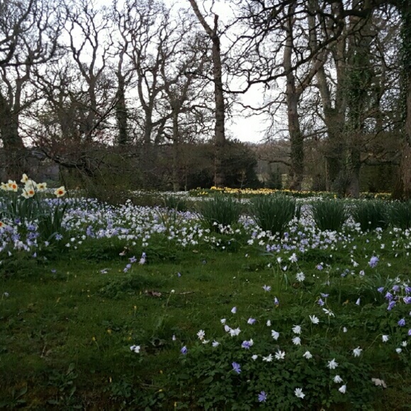 I'm moving, everything must go!