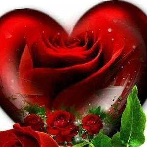 Meet your Posher, Carey