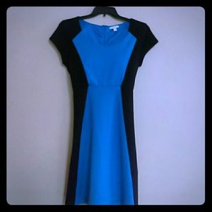 New York & Company Stretch Dress