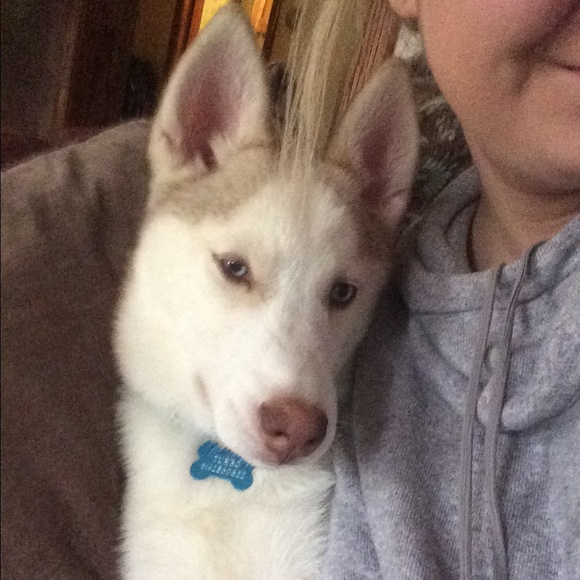 Meet your Posher, Brooke - Picture 4 of 4