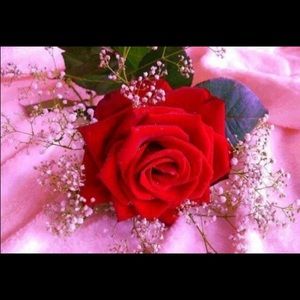 Meet your Posher, Mirna