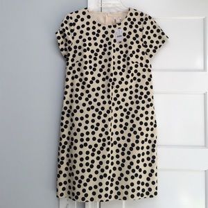 🆕 Jcrew Factory Scattered Dot Shift Dress