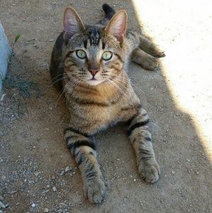 Meet your Posher, Mel