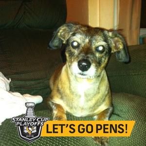 Meet your Posher, Ruth