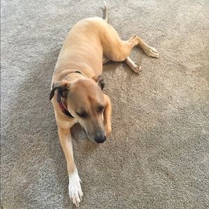 Meet your Posher, Alexa