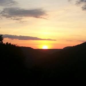 Meet your Posher, Shellie