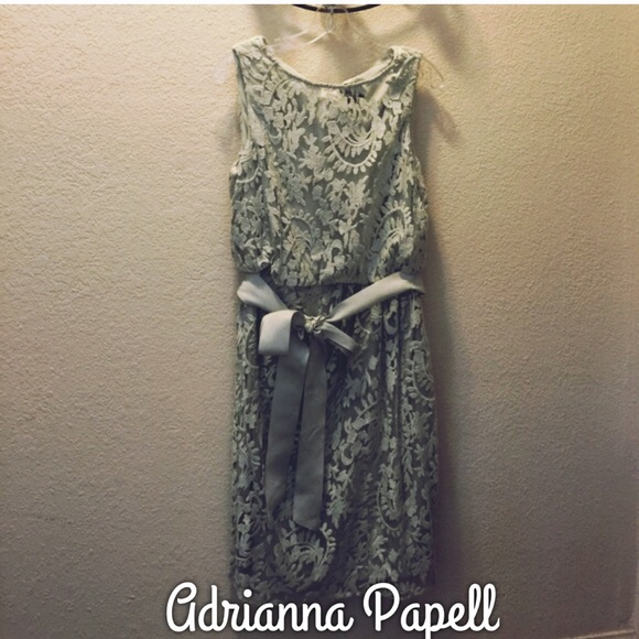 Beautiful Sage Lace Adrianna Papell Dress