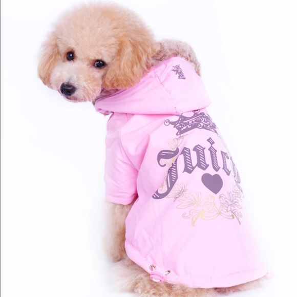 juicy couture for dogs