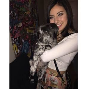 Meet your Posher, Brook