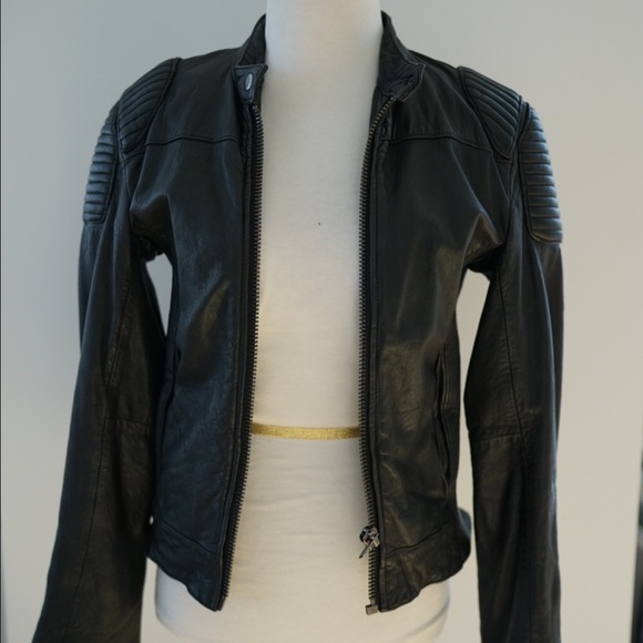 Trish Somerville Dragon Tattoo X H&M Moto Jacket 6