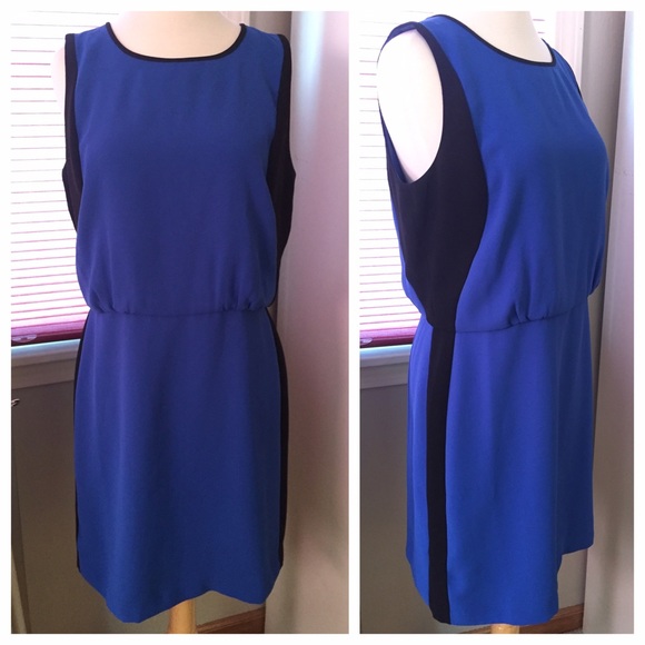 Blue/Black Colorblock Loft Dress NEW