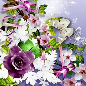 Meet your Posher, Tisha