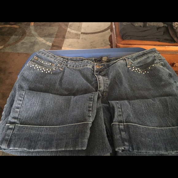 Venezia Pants - Jean Capris size 24