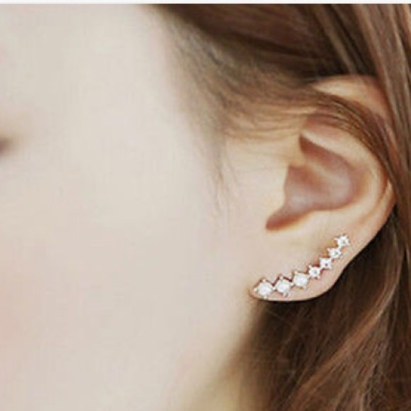 NWT Fashion Climber earrings