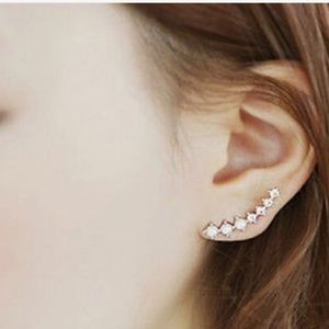 NWT Fashion Climber earrings