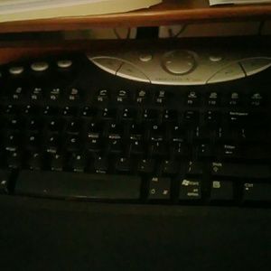 Meet your Posher, Phoebe