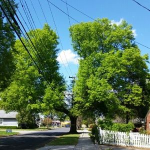 Meet your Posher, Alice