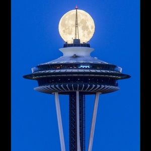 Meet your Posher, Sadia