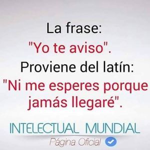 Meet your Posher, Marcelis