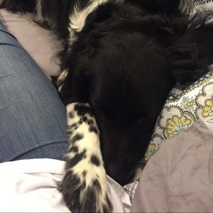 Meet your Posher, Vicky