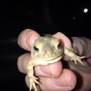 Meet your Posher, Junior