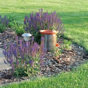 Meet your Posher, Jean