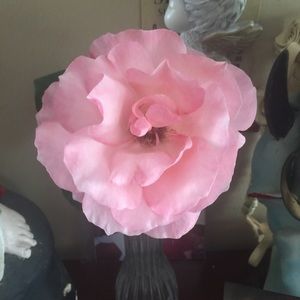 Meet your Posher, Rosa