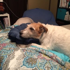 Meet your Posher, Moriah