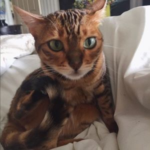 Meet your Posher, Mirta