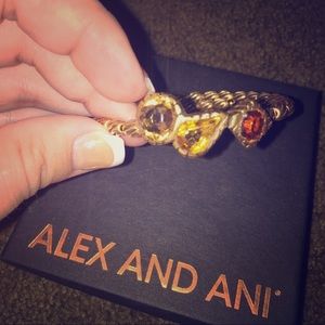 Alex and Ani wrap bracelet