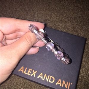 Alex and Ani slider bracelet